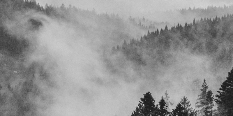 哈哈体育真人骰宝游戏现场 - 美女荷官主持骰宝游戏